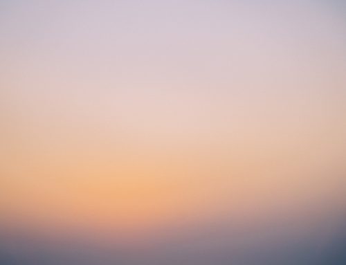 Consciousness: What is it?
